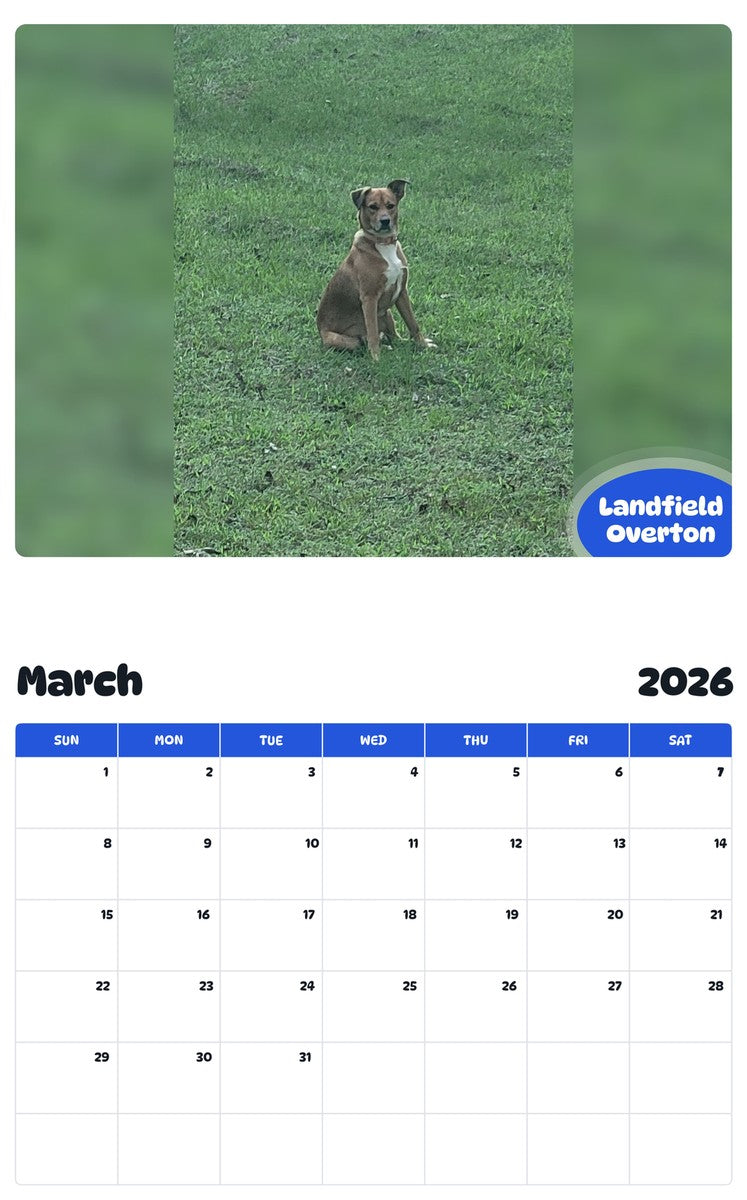 November 2025 - October 2026 Landfield Overton - Pawidols Pet Calendar