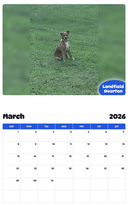 November 2025 - October 2026 Landfield Overton - Pawidols Pet Calendar