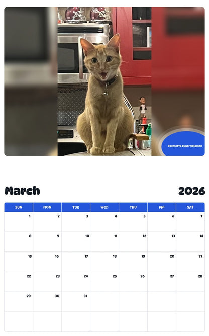 November 2025 - October 2026 Boomette Sugar Coleman - Pawidols Pet Calendar
