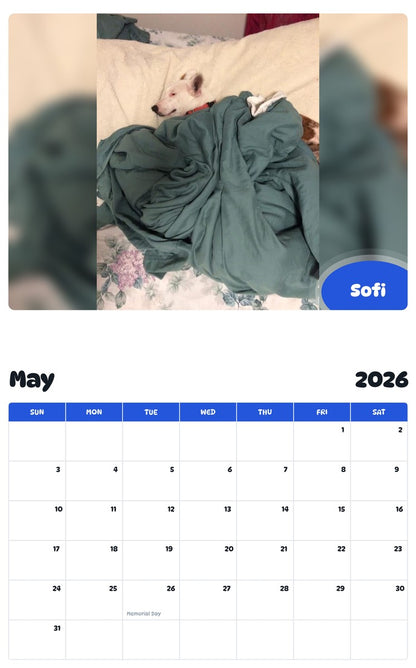 2026 - 2027 Sofi - Pawidols Pet Calendar