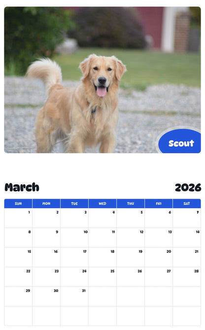November 2025 - October 2026 Scout - Pawidols Pet Calendar