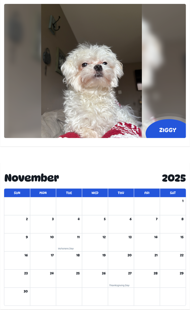 July 2025 - June 2026 Ziggy - Pawidols Pet Calendar