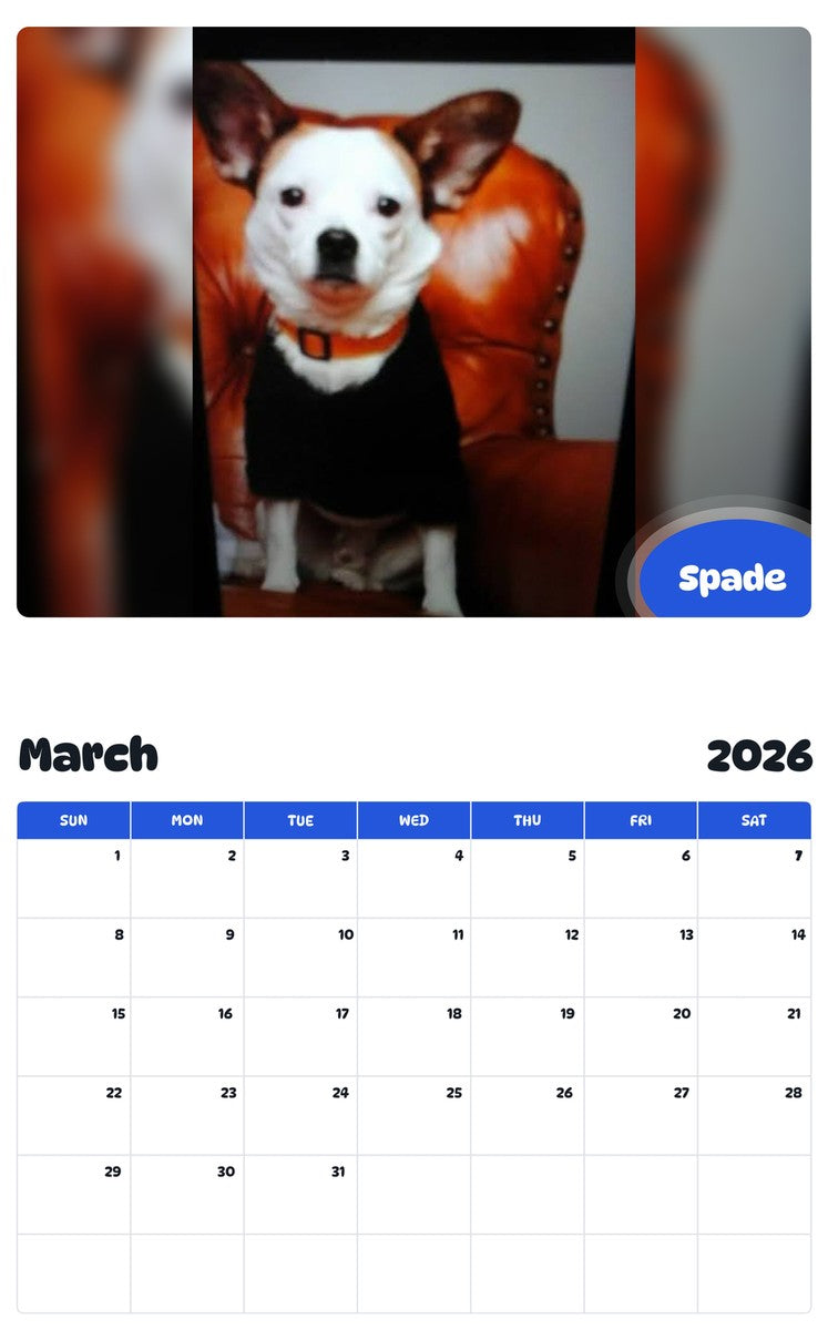 November 2025 - October 2026 Spade - Pawidols Pet Calendar