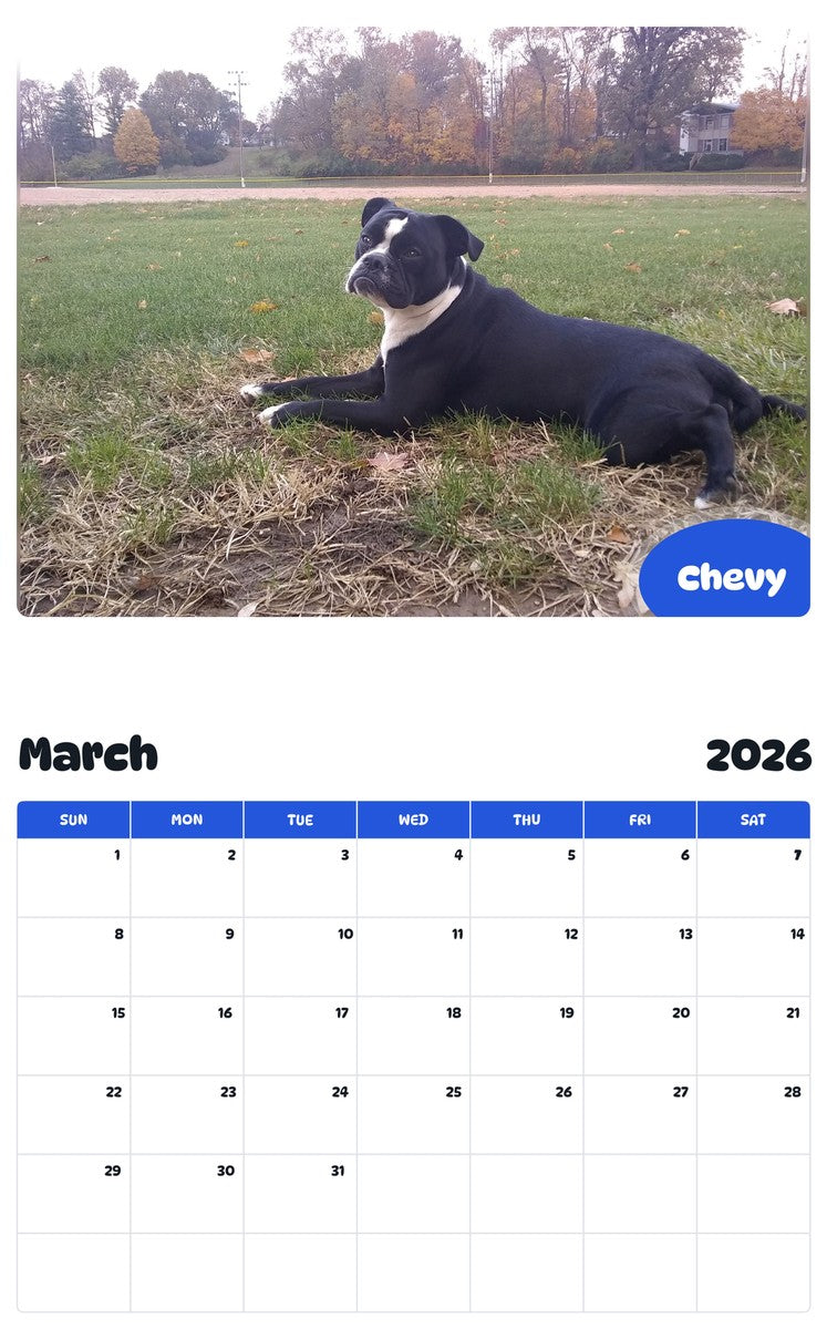 November 2025 - October 2026 Chevy - Pawidols Pet Calendar