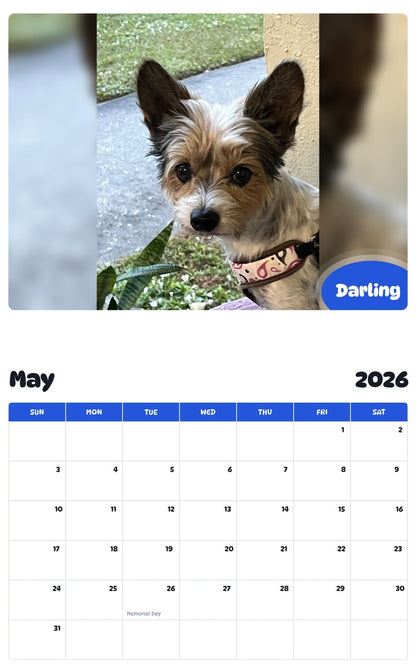 2026 - 2027 Darling - Pawidols Pet Calendar
