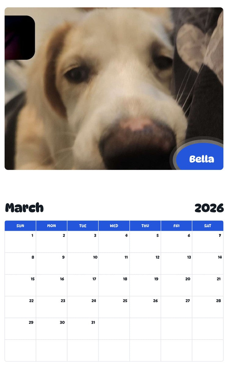 November 2025 - October 2026 Bella - Pawidols Pet Calendar