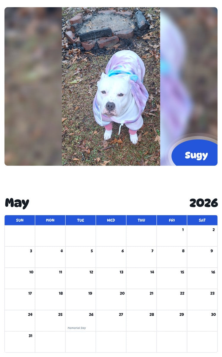 2026 - 2027 Sugy - Pawidols Pet Calendar