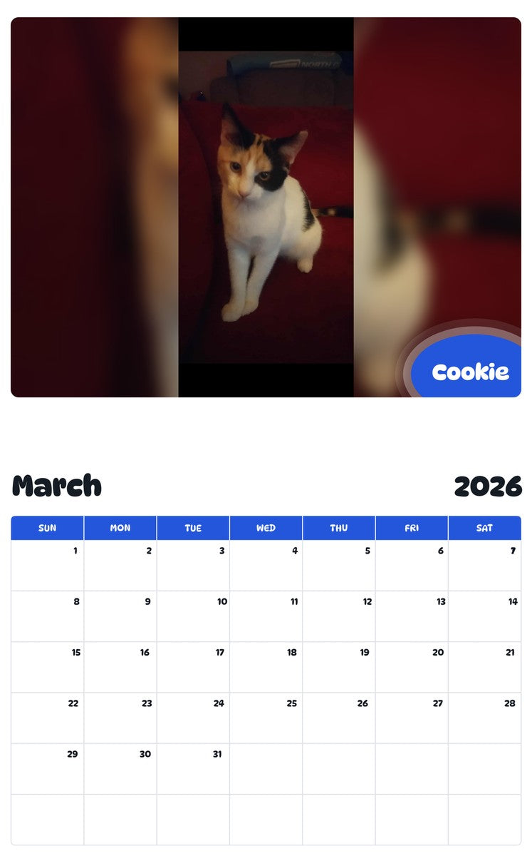 November 2025 - October 2026 Cookie - Pawidols Pet Calendar