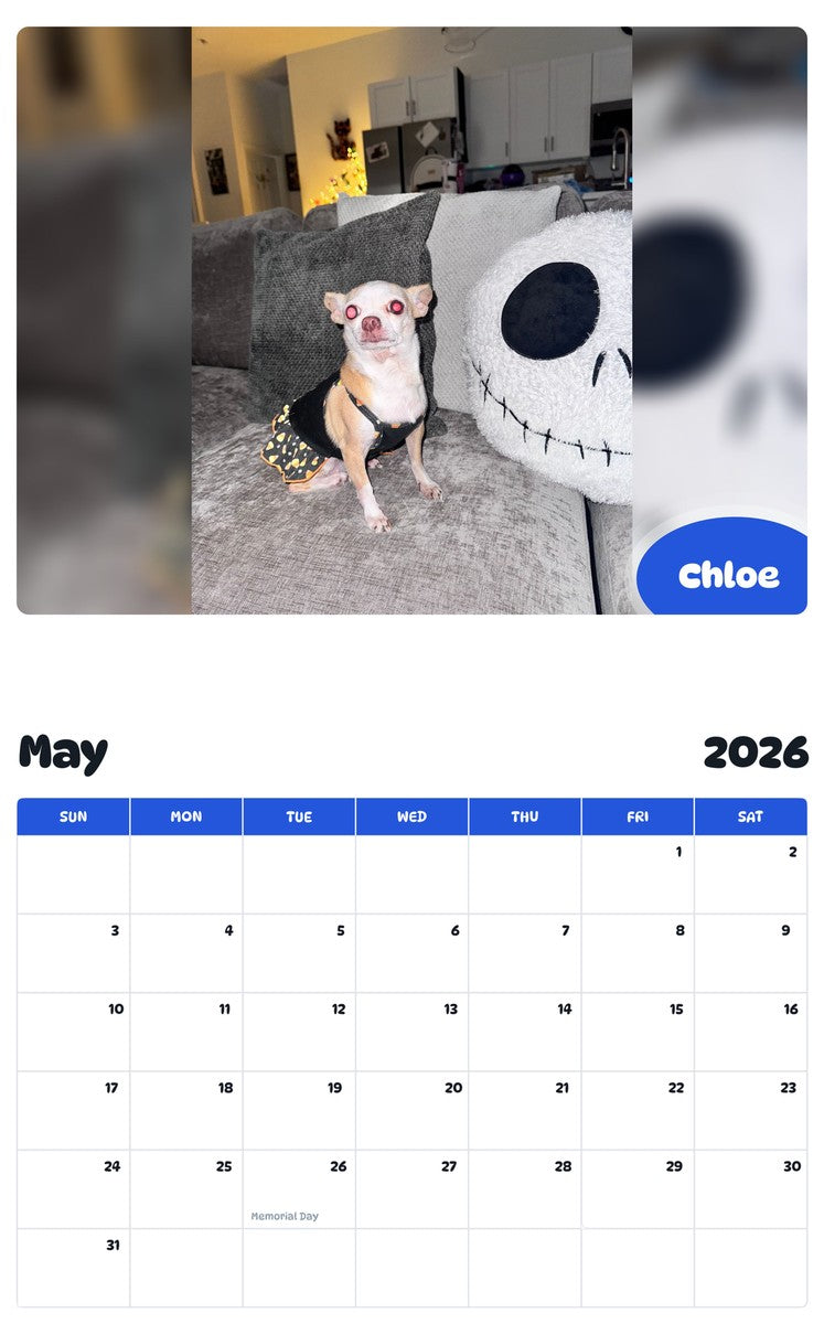 2026 - 2027 Chloe - Pawidols Pet Calendar