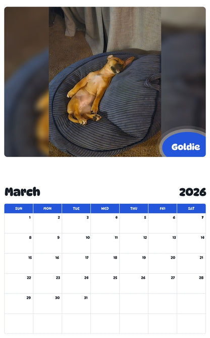November 2025 - October 2026 Goldie - Pawidols Pet Calendar