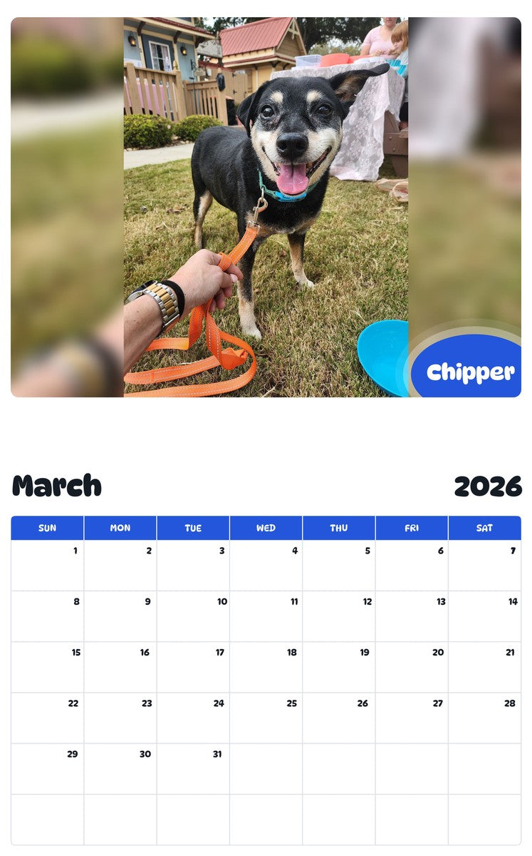 November 2025 - October 2026 Chipper - Pawidols Pet Calendar