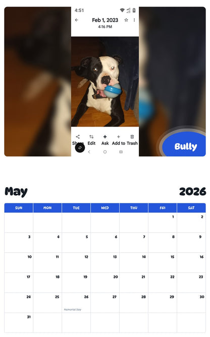 2026 - 2027 Bully - Pawidols Pet Calendar