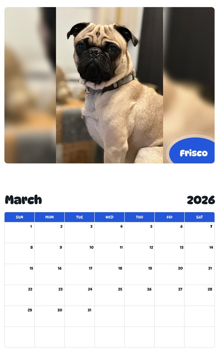 November 2025 - October 2026 Frisco - Pawidols Pet Calendar