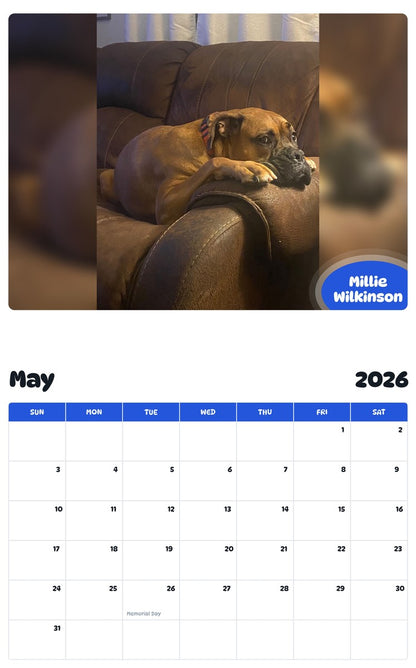 2026 - 2027 Millie Wilkinson - Pawidols Pet Calendar