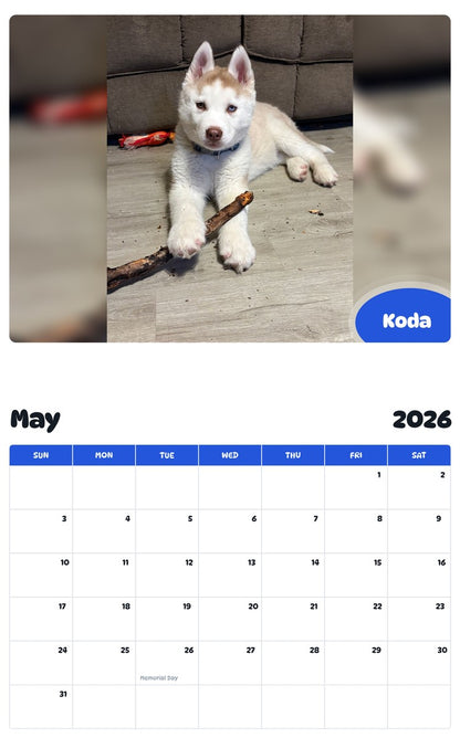 2026 - 2027 Koda - Pawidols Pet Calendar