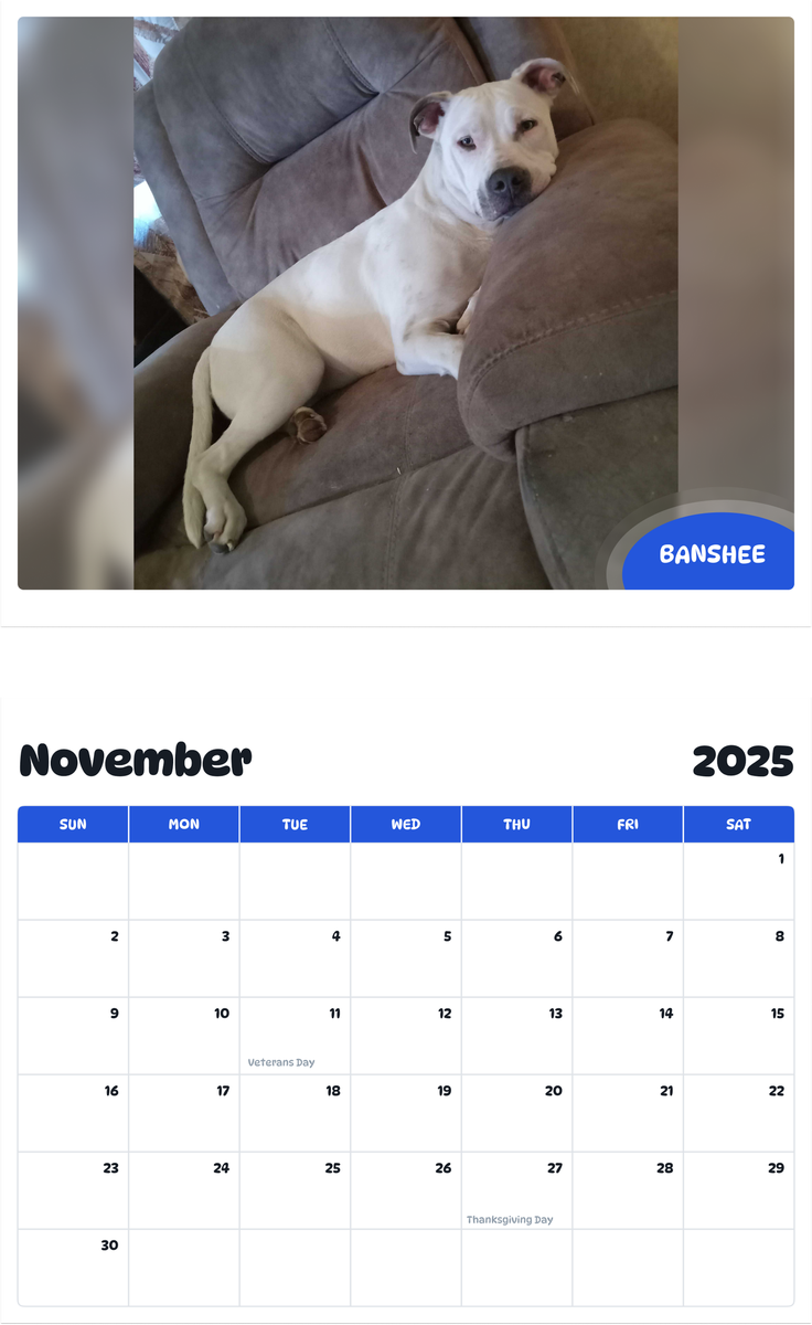 July 2025 - June 2026 Banshee - Pawidols Pet Calendar