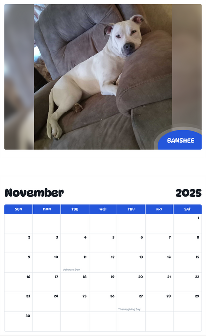 July 2025 - June 2026 Banshee - Pawidols Pet Calendar