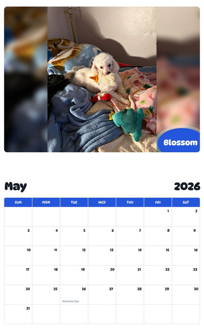 2026 - 2027 Blossom - Pawidols Pet Calendar