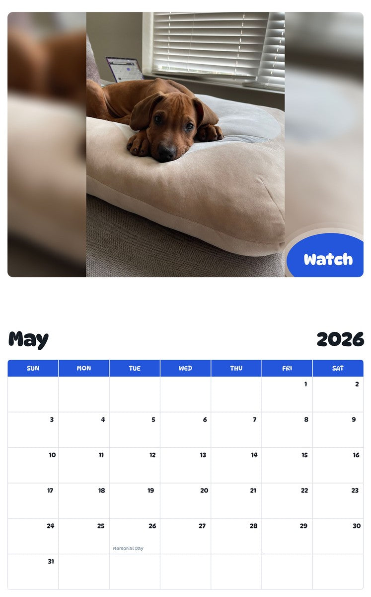 2026 - 2027 Watch - Pawidols Pet Calendar