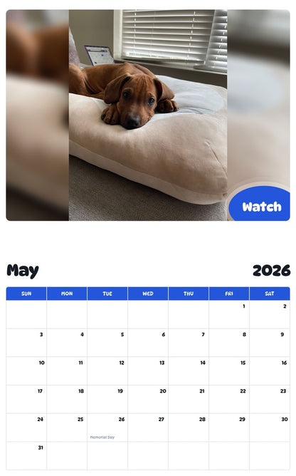 2026 - 2027 Watch - Pawidols Pet Calendar