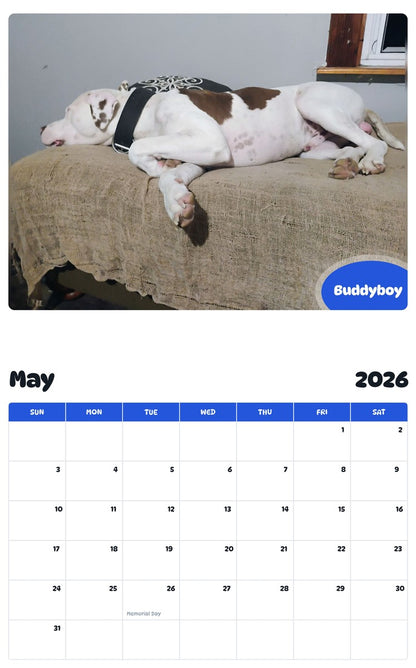 2026 - 2027 Buddyboy - Pawidols Pet Calendar
