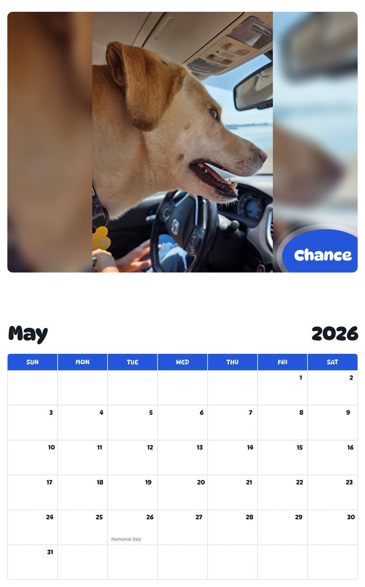 2026 - 2027 Chance - Pawidols Pet Calendar