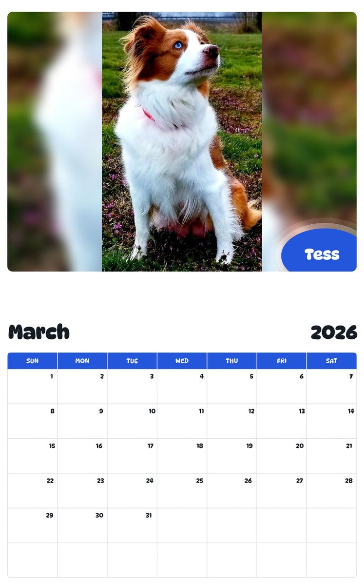 November 2025 - October 2026 Tess - Pawidols Pet Calendar