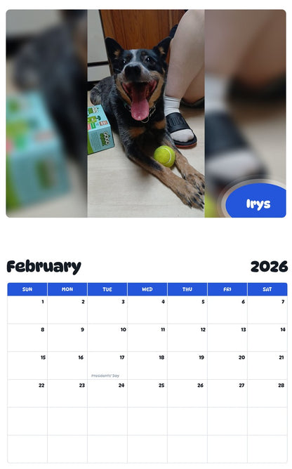October 2025 - September 2026 Irys - Pawidols Pet Calendar