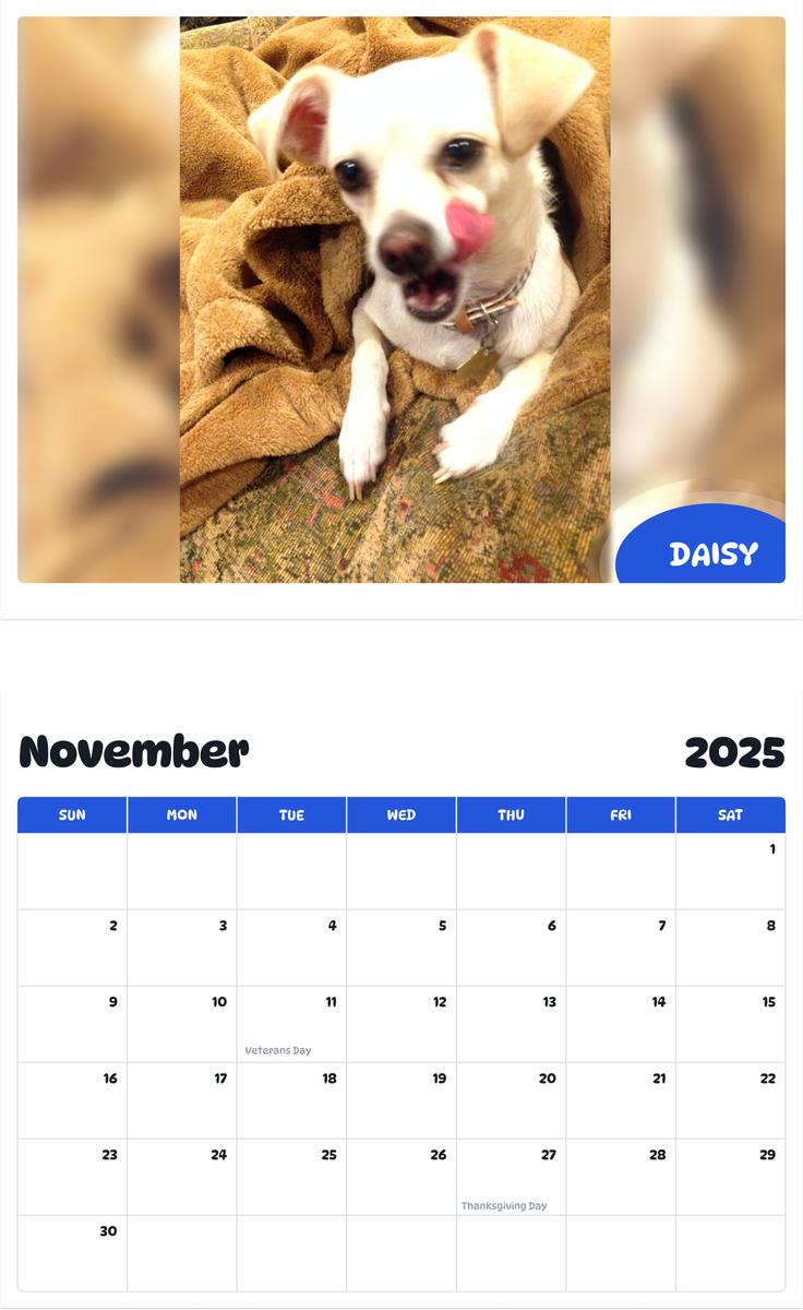 July 2025 - June 2026 Daisy - Pawidols Pet Calendar