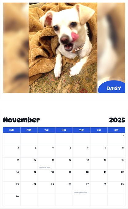 July 2025 - June 2026 Daisy - Pawidols Pet Calendar