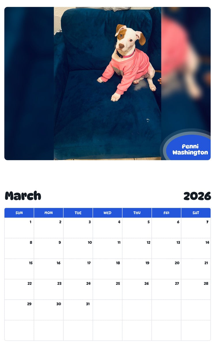 November 2025 - October 2026 Penni Washington - Pawidols Pet Calendar