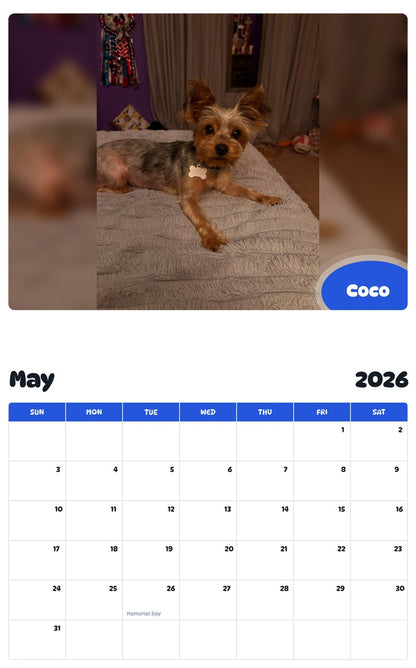 2026 - 2027 Coco - Pawidols Pet Calendar