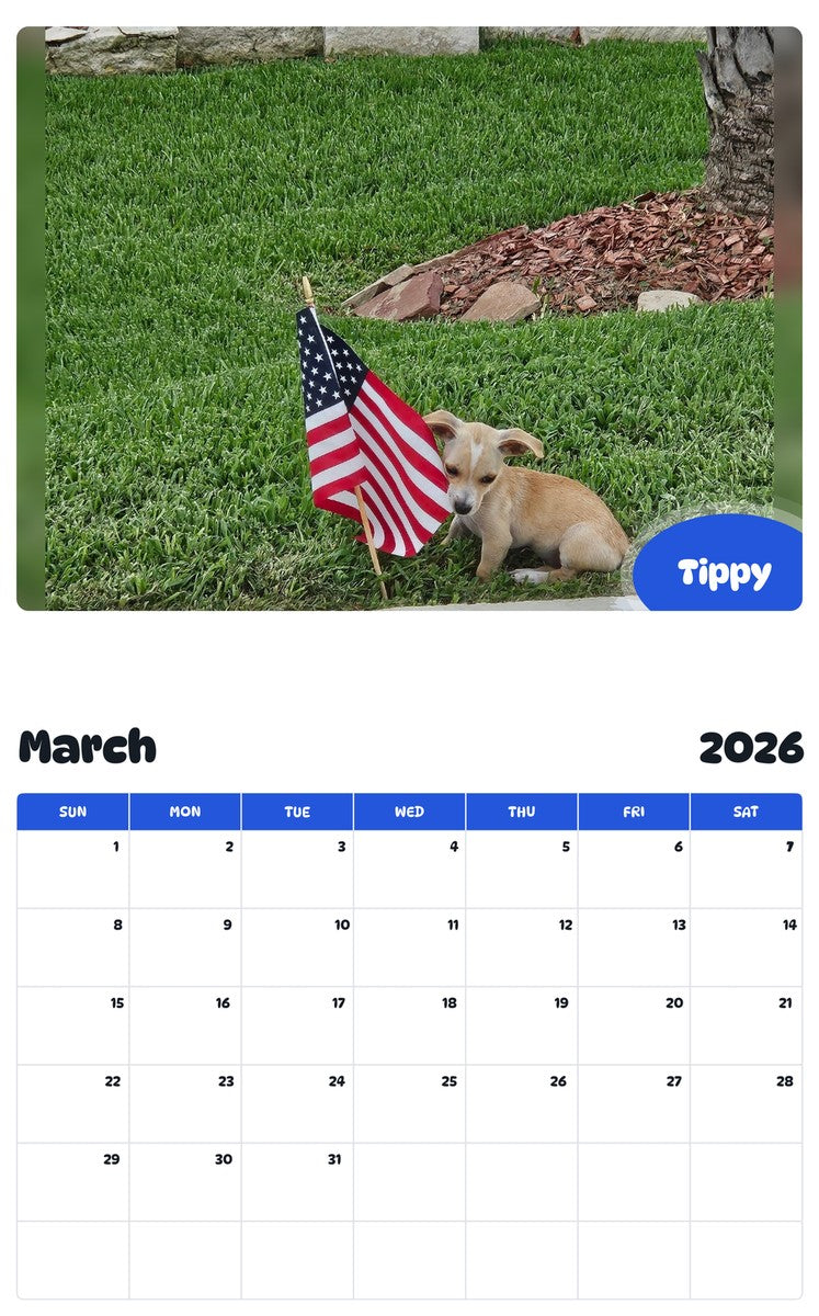 November 2025 - October 2026 Tippy - Pawidols Pet Calendar