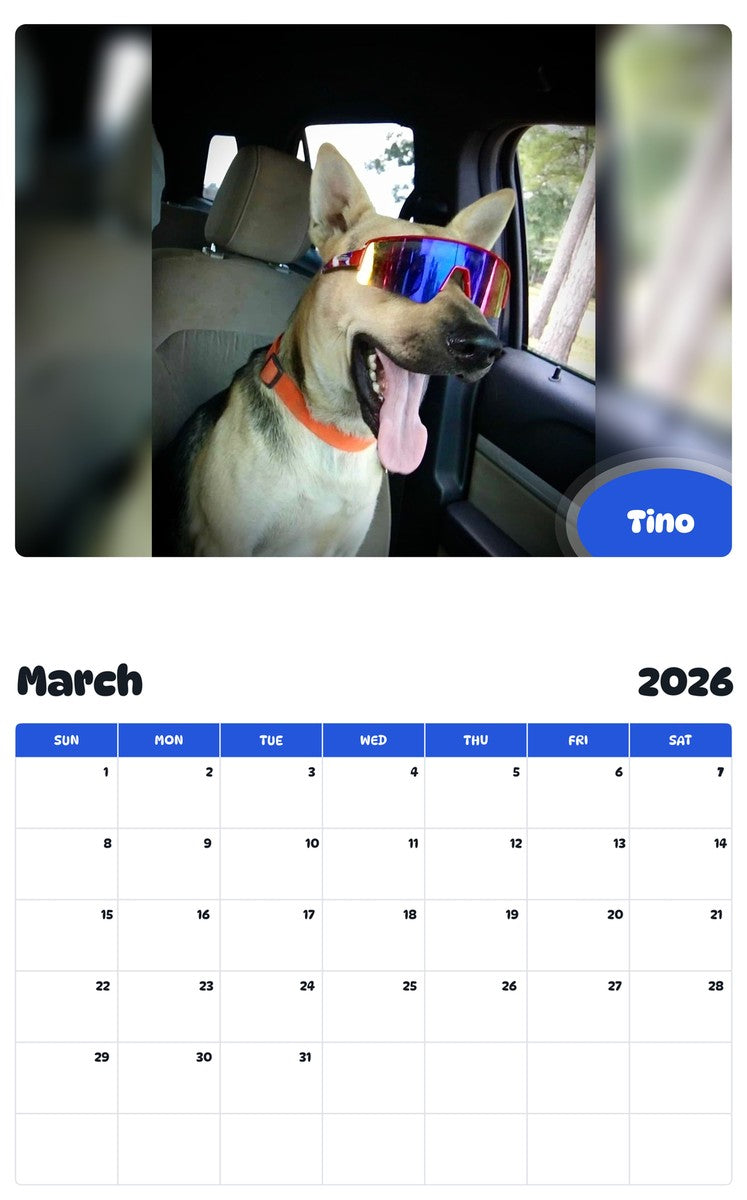 November 2025 - October 2026 Tino - Pawidols Pet Calendar