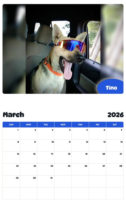 November 2025 - October 2026 Tino - Pawidols Pet Calendar