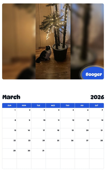 November 2025 - October 2026 Booger - Pawidols Pet Calendar