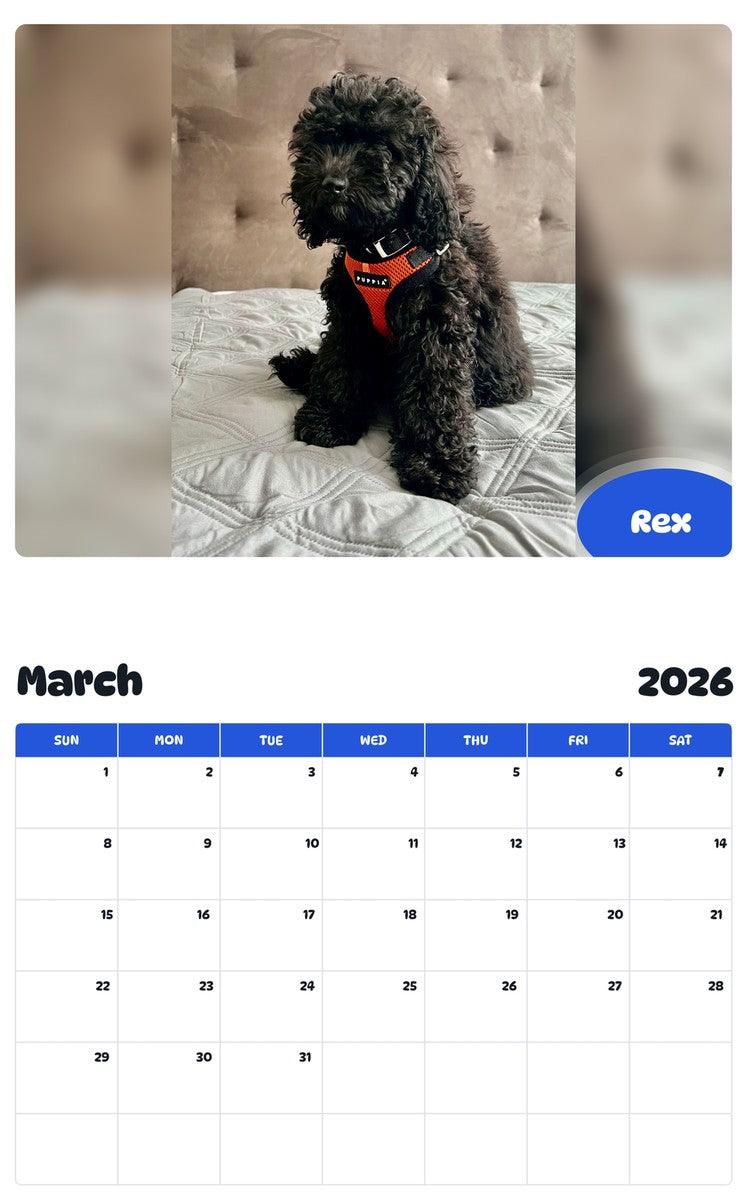 November 2025 - October 2026 Rex - Pawidols Pet Calendar