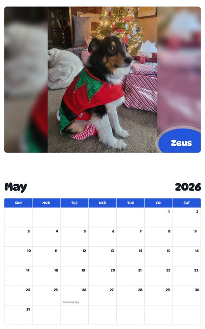 2026 - 2027 Zeus - Pawidols Pet Calendar