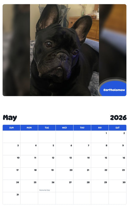 2026 - 2027 Bartholomew - Pawidols Pet Calendar