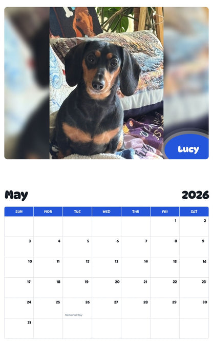 2026 - 2027 Lucy - Pawidols Pet Calendar