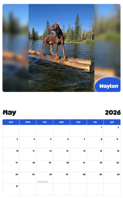 2026 - 2027 Waylon - Pawidols Pet Calendar