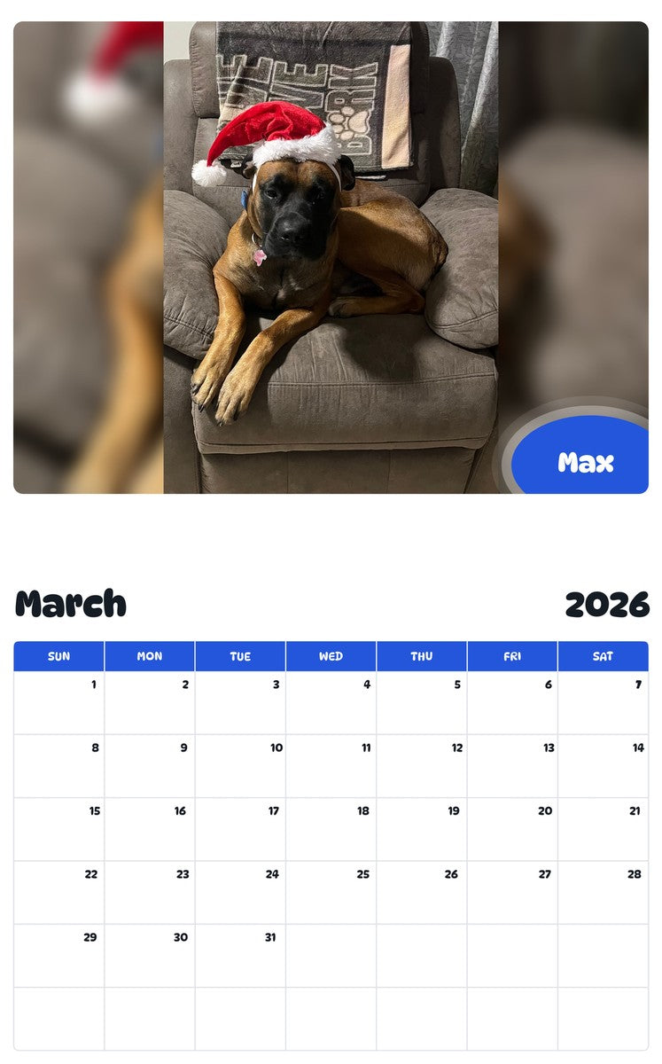November 2025 - October 2026 Max - Pawidols Pet Calendar