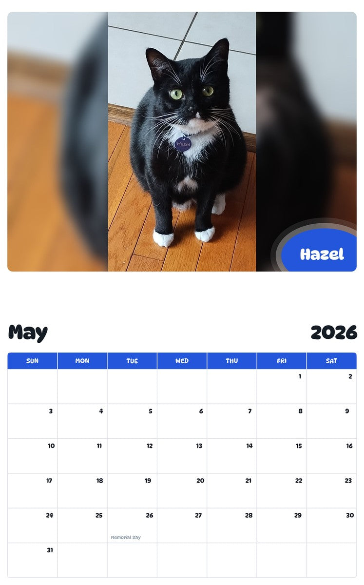 2026 - 2027 Hazel - Pawidols Pet Calendar