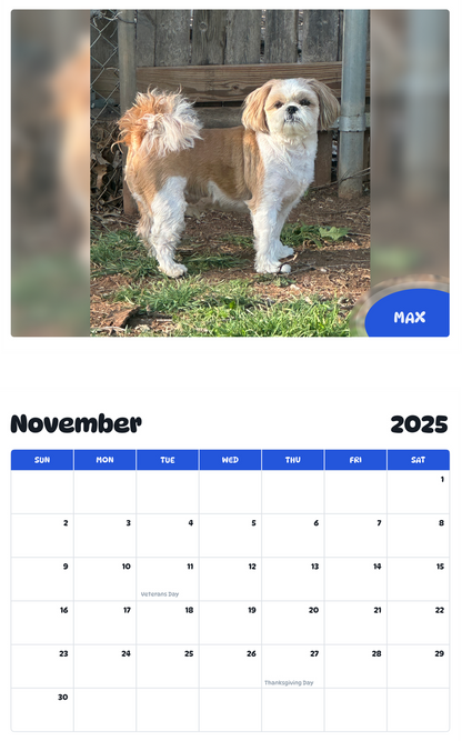 July 2025 - June 2026 MAX - Pawidols Pet Calendar