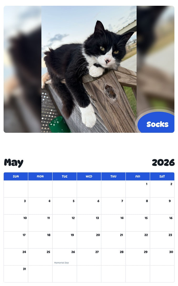2026 - 2027 Socks - Pawidols Pet Calendar