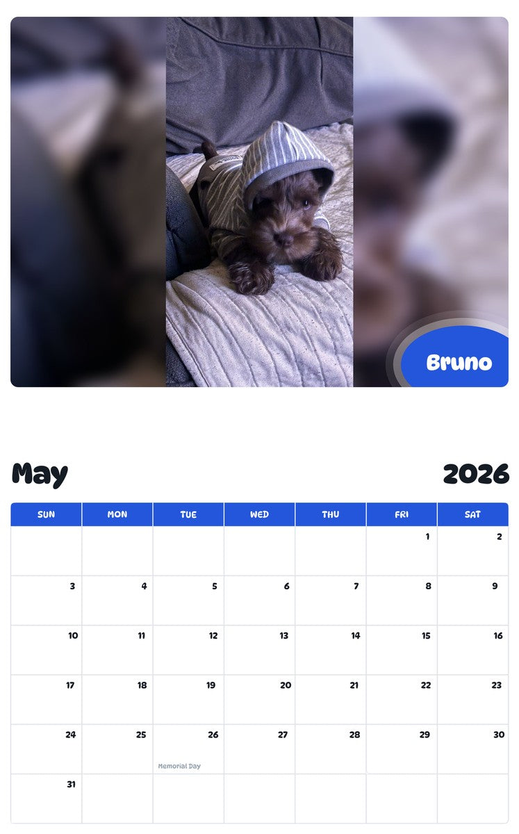 2026 - 2027 Bruno - Pawidols Pet Calendar