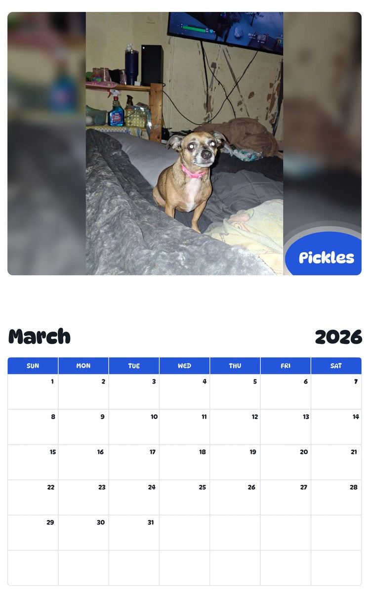 November 2025 - October 2026 Pickles - Pawidols Pet Calendar