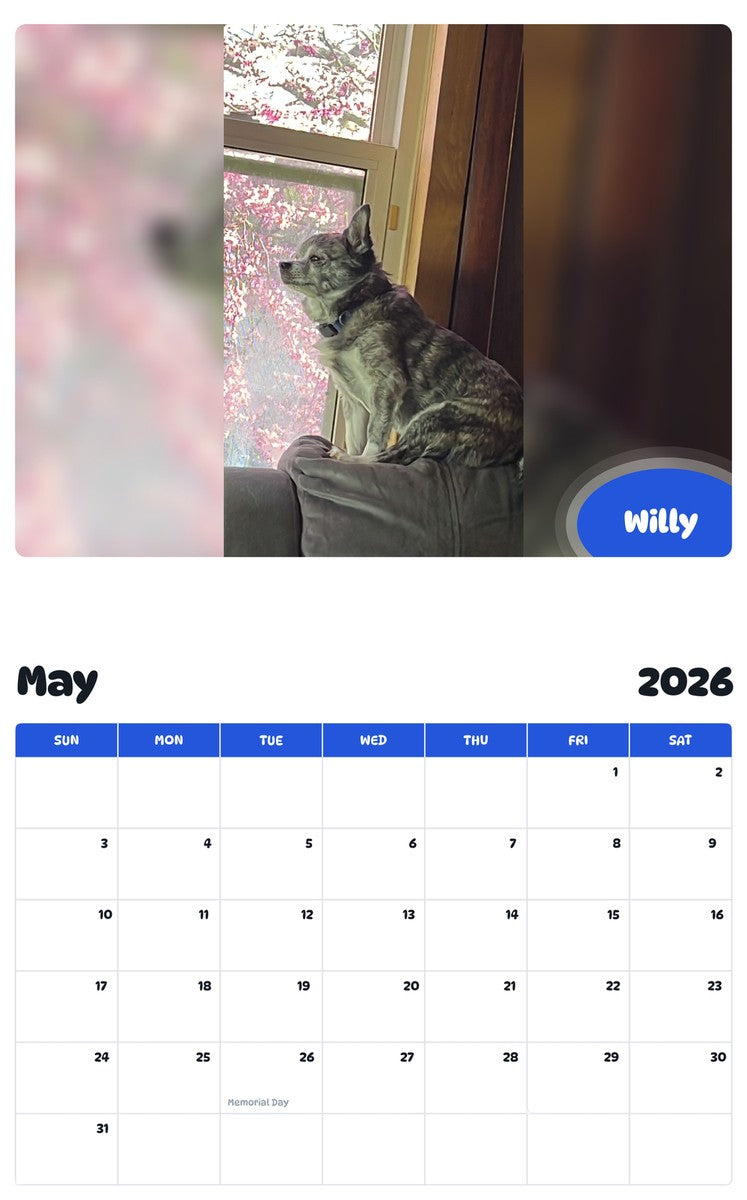 2026 - 2027 Willy - Pawidols Pet Calendar