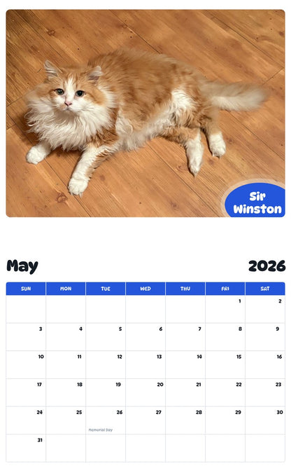 2026 - 2027 Sir Winston - Pawidols Pet Calendar