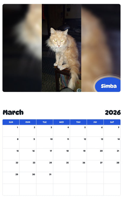 November 2025 - October 2026 Simba - Pawidols Pet Calendar